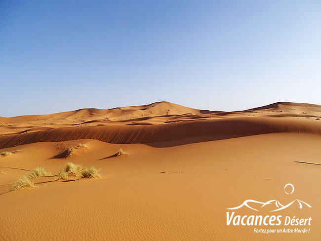 Organiser un voyage de luxe au désert Maroc 